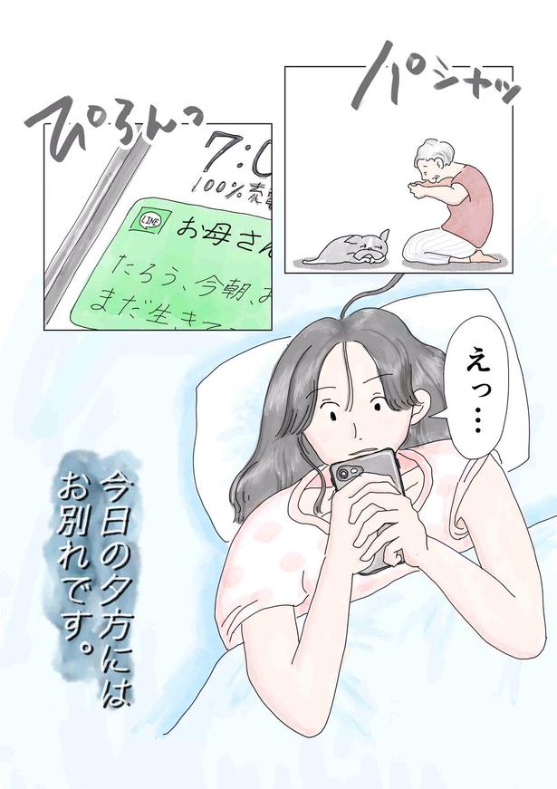画像提供：チャン・メイ(@masondixon402)