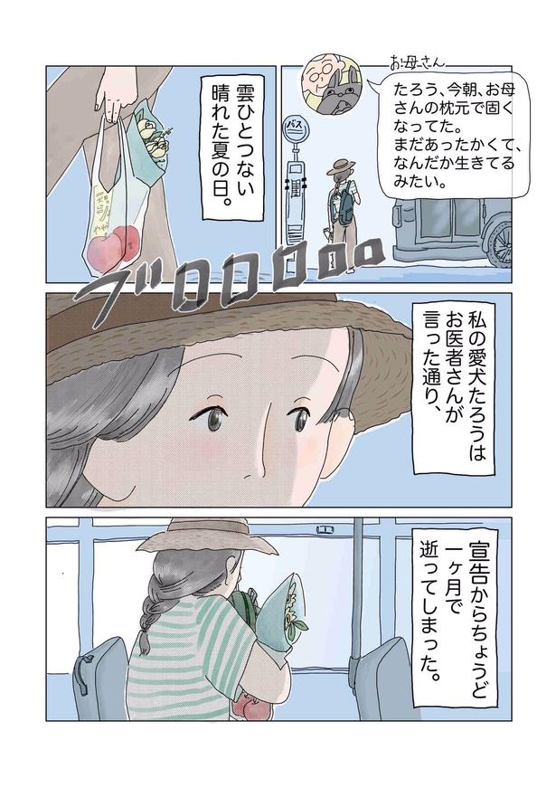 画像提供：チャン・メイ(@masondixon402)