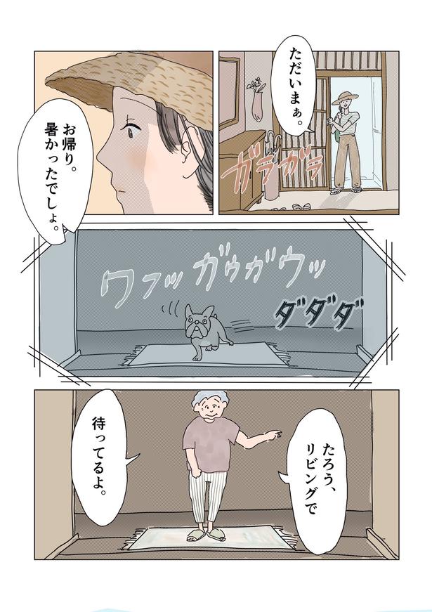 画像提供：チャン・メイ(@masondixon402)
