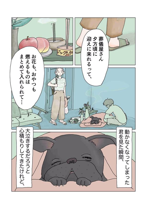 画像提供：チャン・メイ(@masondixon402)