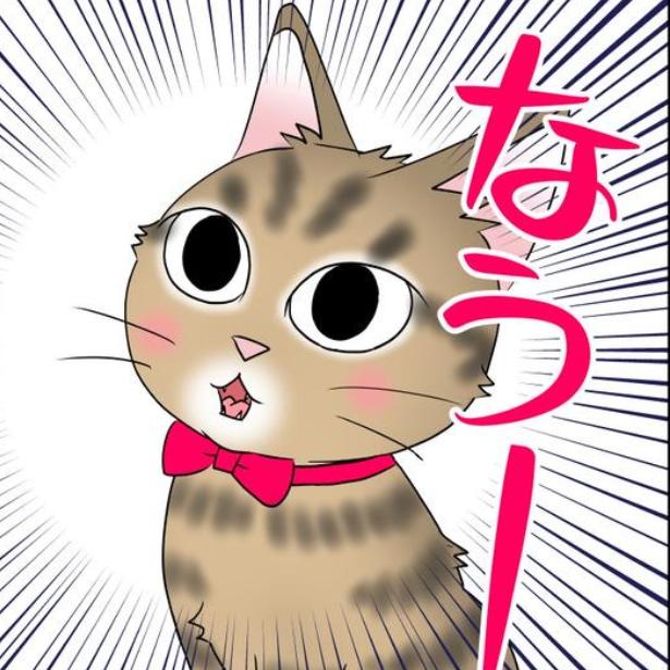 猫が来た日