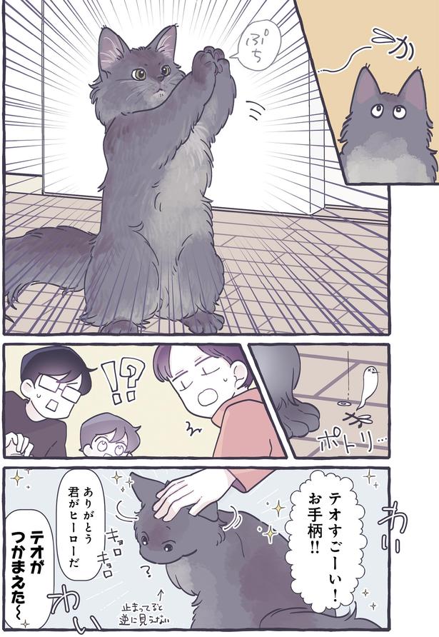 ぷち （C）るしこ／KADOKAWA