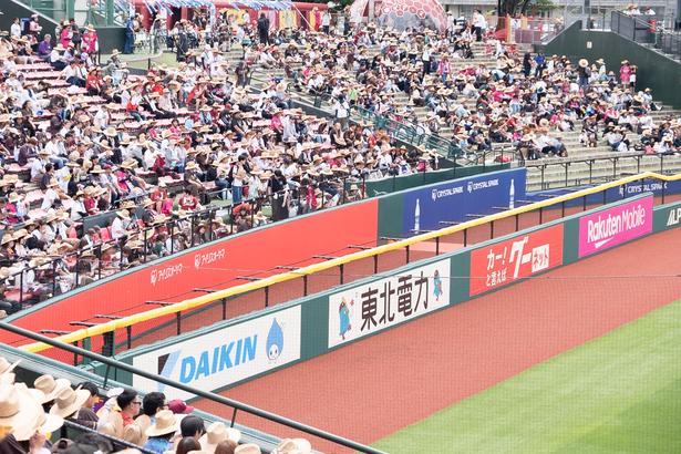 2026年はホームランゾーンを新設。よりエキサイティングな試合が楽しめるようになっただけでなく、ボールが入ったスペースによって豪華プレゼントが当たるサプライズも！