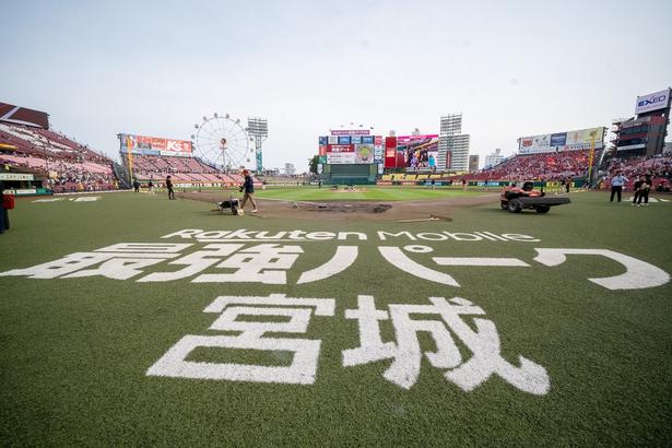 日によっては、試合後のグラウンドに入場するチャンスも