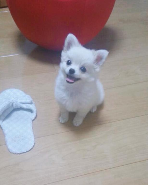 ちびっこ時代