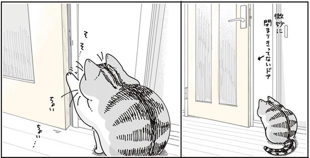 微妙に閉まりきってないドア