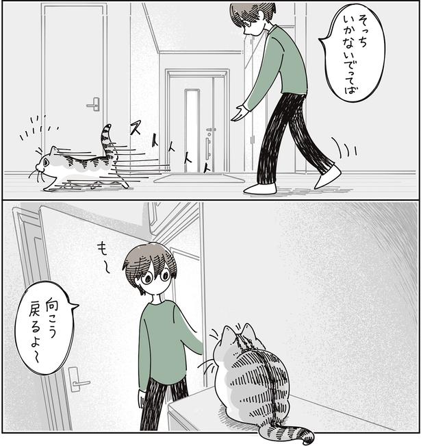戻るよ～