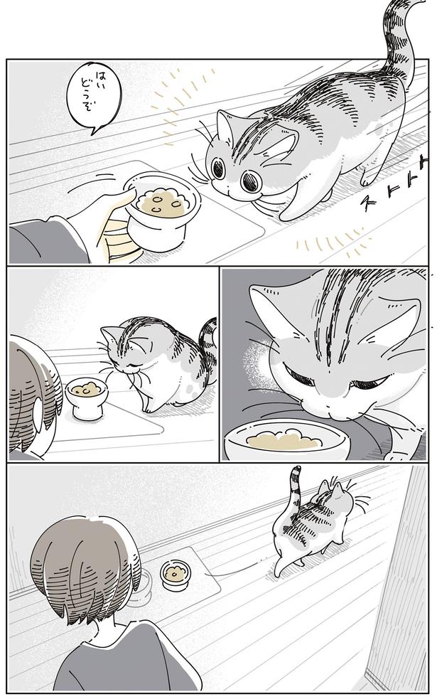 どうぞ