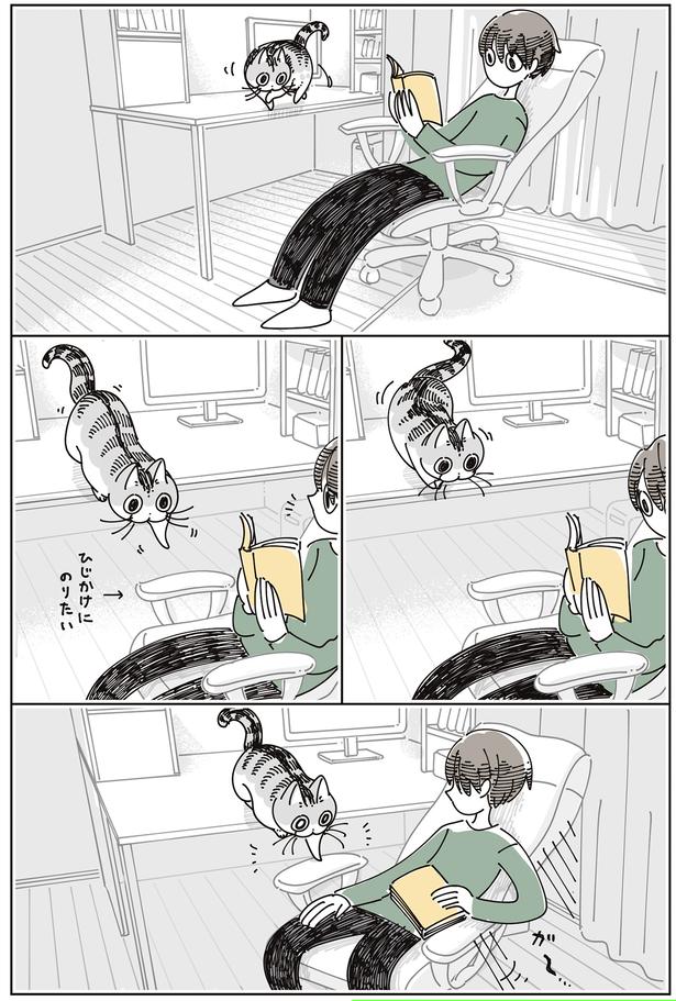 ひじかけにのりたい （C）キュルZ／KADOKAWA