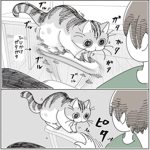 ピタッ （C）キュルZ／KADOKAWA