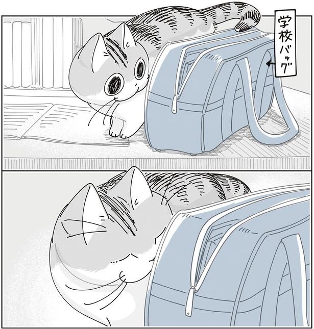 学校バッグ （C）キュルZ／KADOKAWA