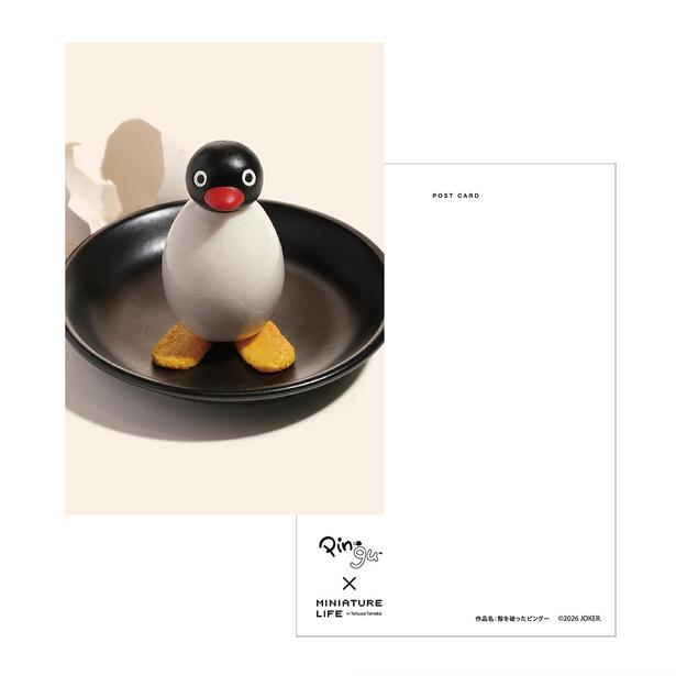  「PINGU×MINIATURE LIFE ポストカード」(385円)