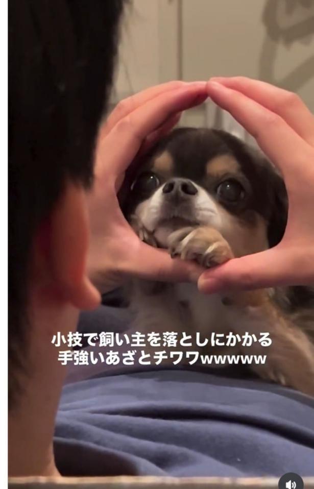 熱い視線！▶くいっと顔を上げ…（⇒次へ）