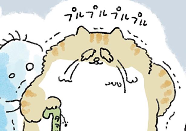 明日この世を去る老猫 （C）中山有香里／KADOKAWA