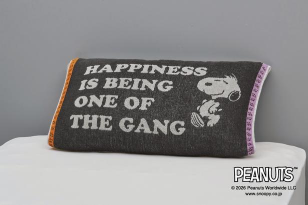 「PEANUTS のびのびタオルピローケース(PEANUTS GANG)」(2200円)