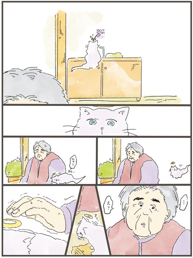 飼い主に擦り寄るさくら （C）中山有香里／KADOKAWA