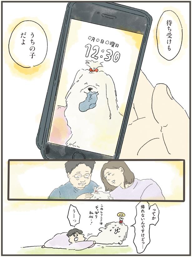 待ち受けもうちの子だよ （C）中山有香里／KADOKAWA