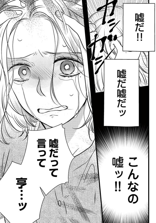 こんなの嘘ッ！！