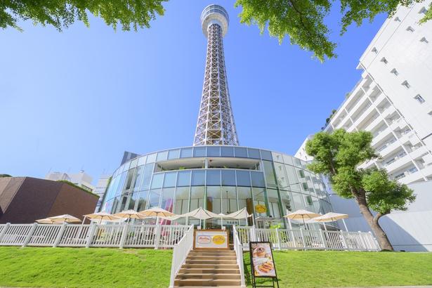 横浜の景色を360度見渡せる横浜マリンタワー。7月限定でピーターラビットのフォトスポットが登場する