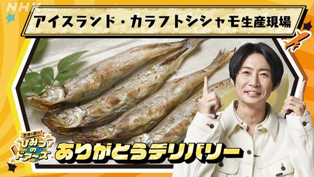 「世界で開け！ひみつのドアーズ」でMCを務める相葉雅紀。7月8日(水)の放送ではアイスランドのカラフトシシャモ生産現場に迫る