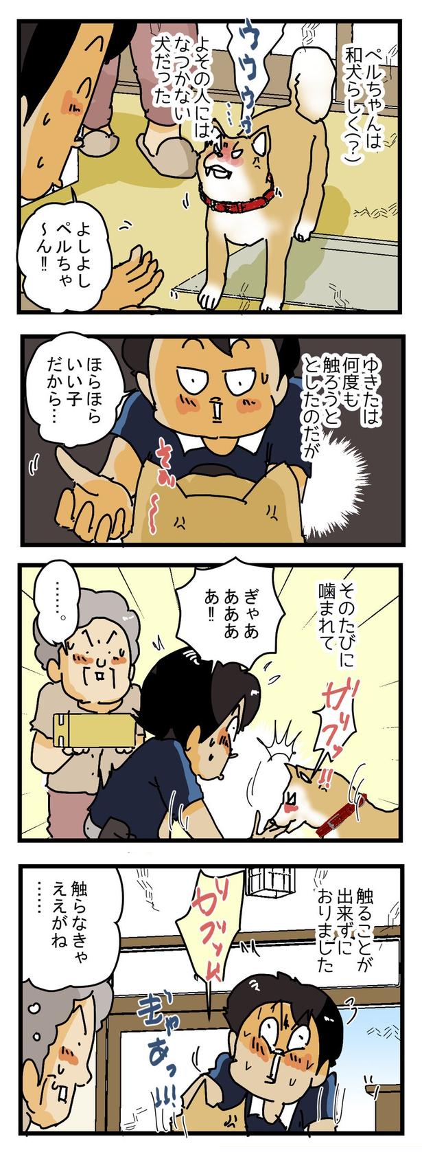 かみつきペルちゃん1 画像提供：(C)ゆきたこーすけ(@kosukeyukita)　