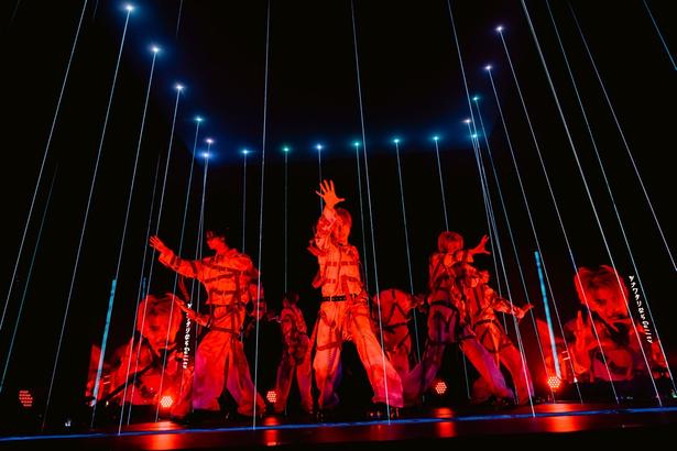 原因は自分にある。、東京・有明アリーナ「ARENA TOUR 2026 仮ノ現(カリノウツツ)」より