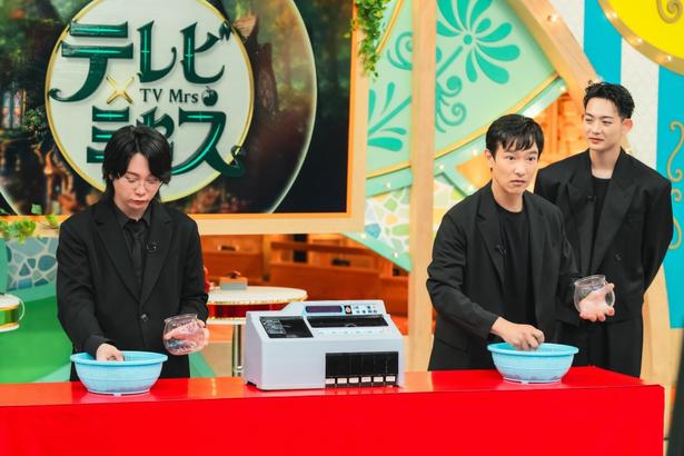 テレビ×ミセス