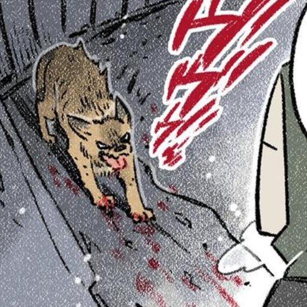 暗闇で低くうなり声をあげていた、保護犬の茶々。