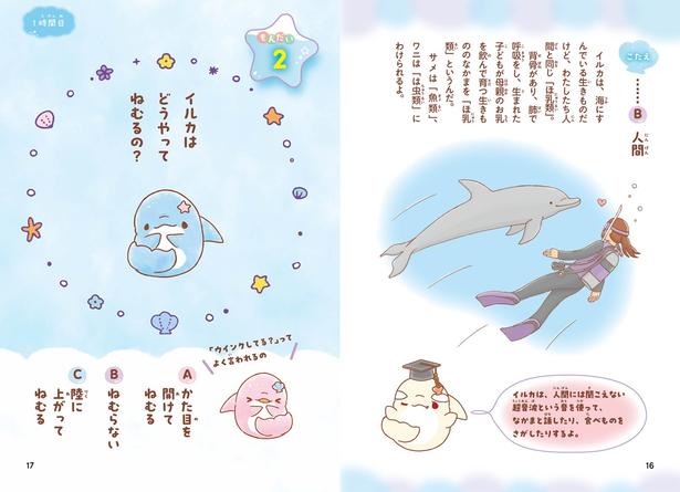 イルカが実は人間と同じほ乳類のなかまであること、超音波を使ってコミュニケーションをとっていることなど、大人が読んでも「へえ」と声が出る解説がついている