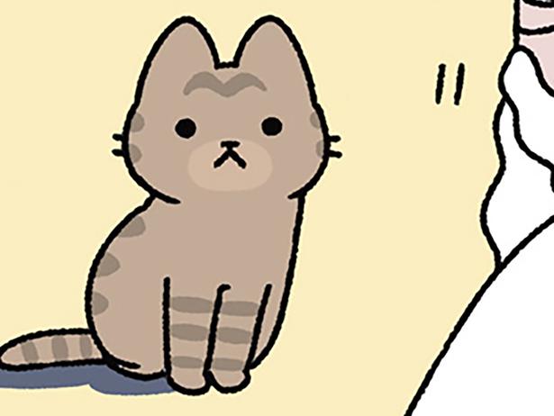 ねこあれ