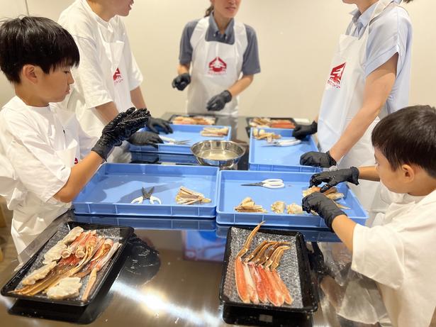 体験調理室では「ゆでずわい蟹むき体験」(初回無料、2回目以降は1人500円)と「カット生ずわい蟹づくり体験」(1人5000円※2026年8月末までは1人3000円)を実施(写真はイメージ)