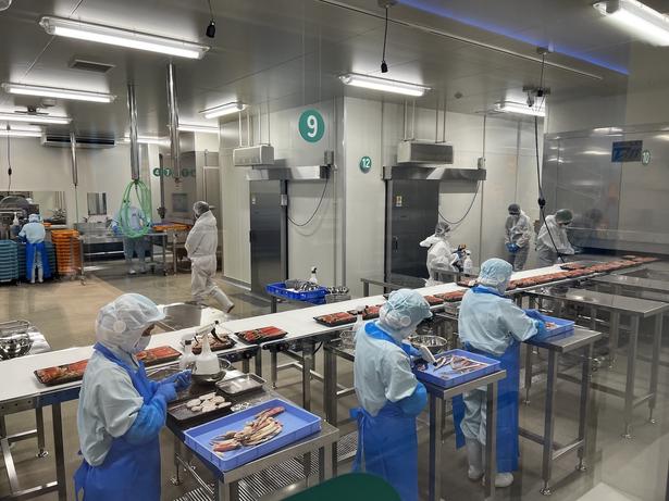 職人たちによる殻むきの様子が見学できる