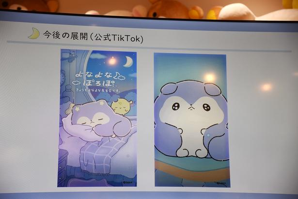公式TikTokでは、動く「よなよなぽろぽ」が確認できる (C)2026 SAN-X CO., LTD. ALL RIGHTS RESERVED.　撮影：ソムタム田井