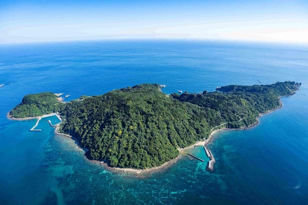 宮崎・大島をもっと楽しめる「HINATA大島」が2026年9月1日(火)に開業