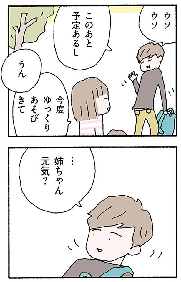 姉ちゃん元気？ （C）野原広子／KADOKAWA