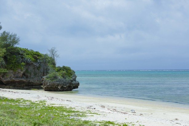 この今帰仁の浜を吹き抜ける潮風を、在りし日の“千代金丸”も感じたのだろうか? 撮影:樋口涼