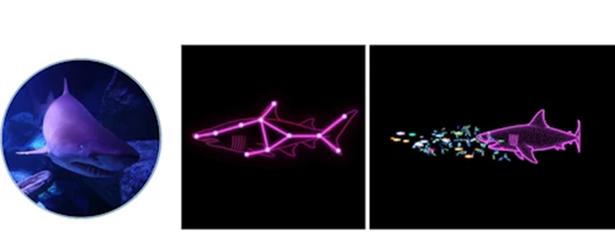 シロワニ…体を発光させながら、ゆったりと泳ぐ姿を描写