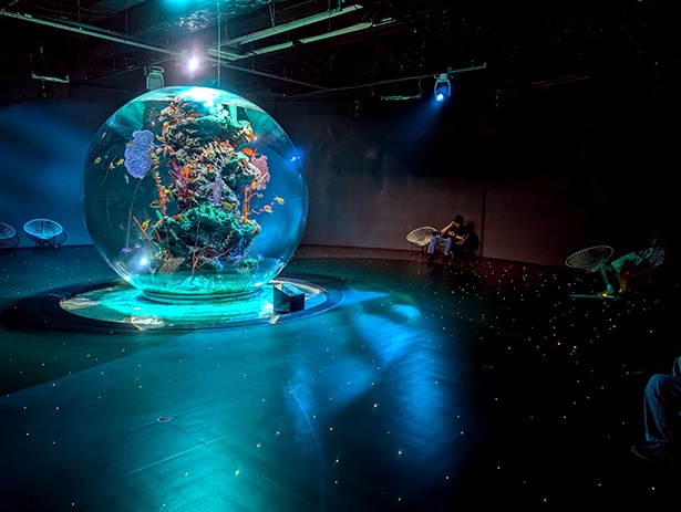 国内最大級の球体水槽「AQUA TERRA(アクアテラ)」。直径は約3メートル