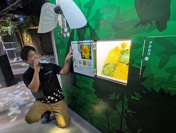 報道向けの内覧会にて、シャープとの共同展示「Fragments of Nature」を説明するスタッフ