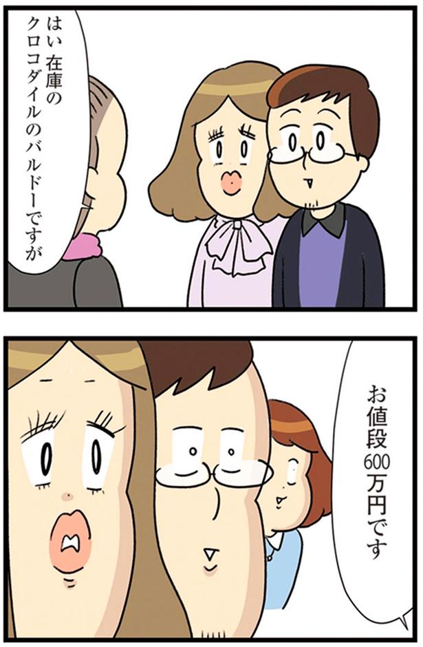 お値段600万円です （C）エレパトちゃん、ユキミ／KADOKAWA