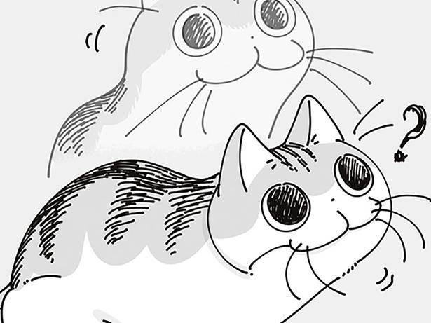 時計の裏が気になって仕方がないネコ。壁掛けフックの正体を知りたそう