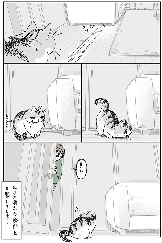 見たぞ… （C）キュルZ／KADOKAWA