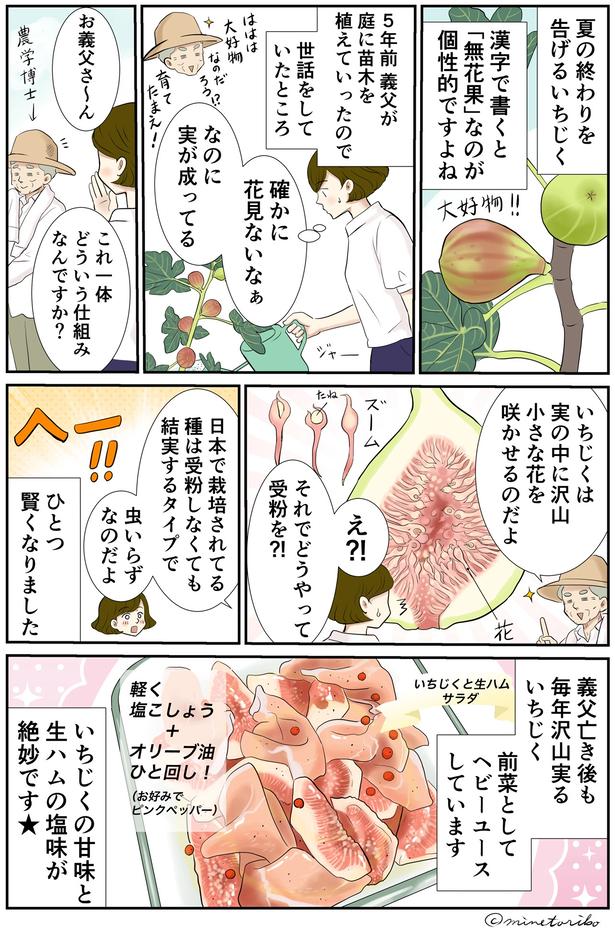 いちじくの甘味と生ハムの塩味が絶妙 （C）峯鳥子