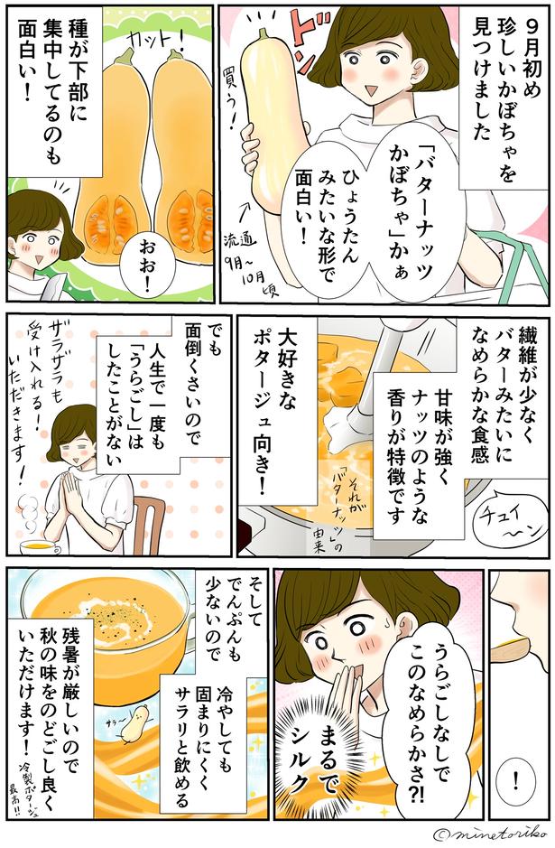 珍しいかぼちゃを見つけました （C）峯鳥子