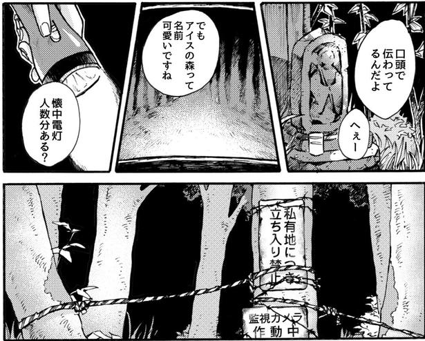 「私有地につき立ち入り禁止」「監視カメラ作動中」と入るのを禁止する看板が
