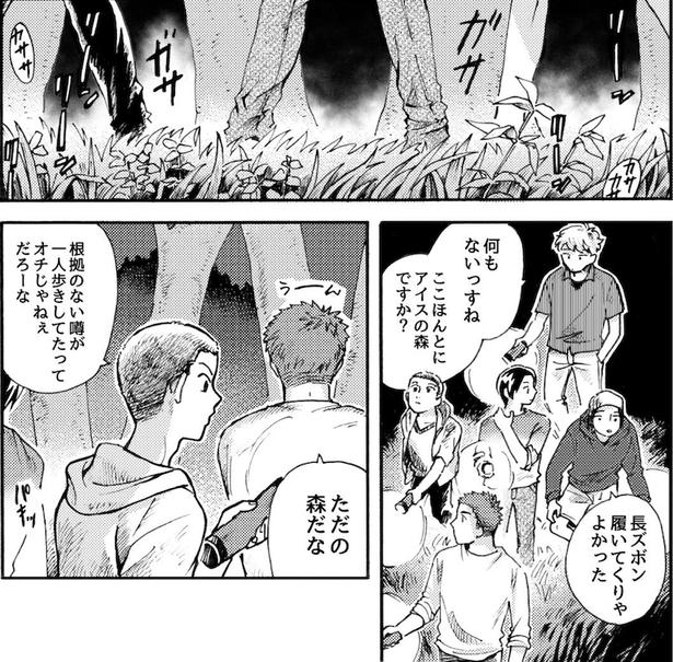 しかし普通の森で何もなさそう