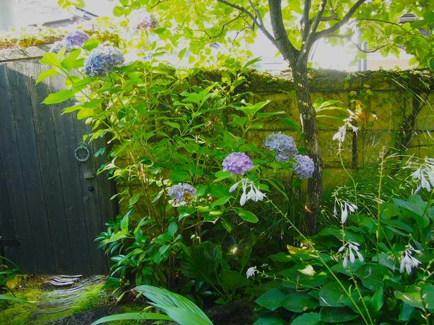 落ち着いた自然な色合いが目に優しい