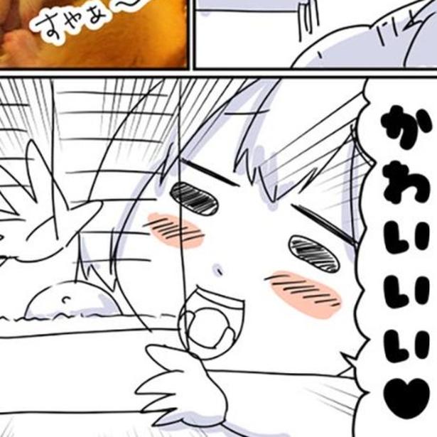 その可愛さで心を癒してくれるハムスター、ナッツちゃん。