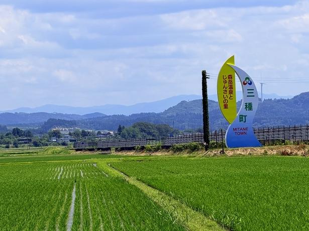 三種町は「じゅんさい 」のまち