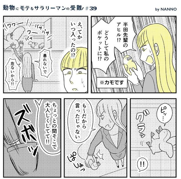 動物にモテるサラリーマンの受難(104)